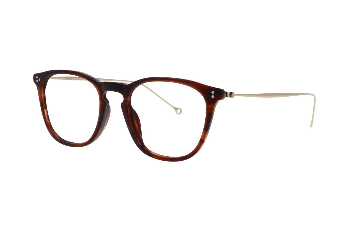 HALLY&SON HS831V 02 51 OPTİK GÖZLÜK