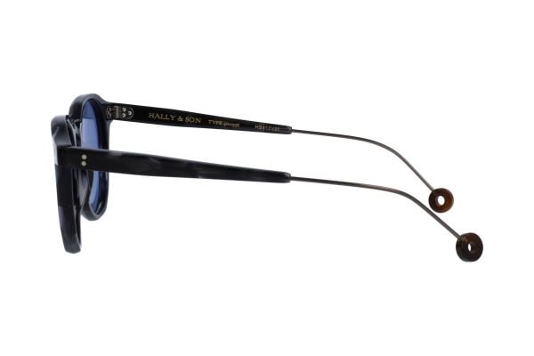 HS810V 01