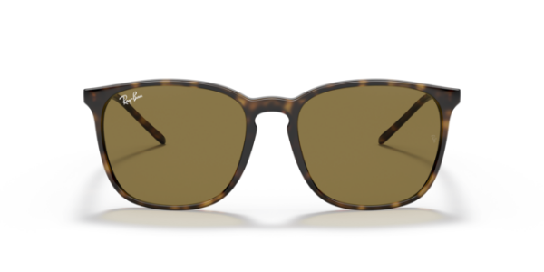 RAYBAN 4387 710/73 56 GÜNEŞ GÖZLÜĞÜ