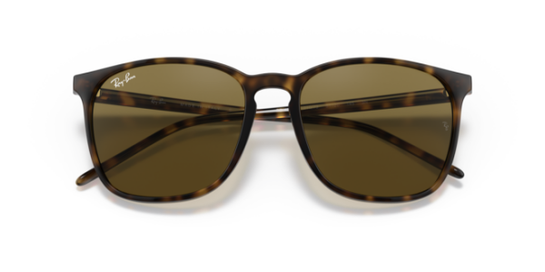 RAYBAN 4387 710/73 56 GÜNEŞ GÖZLÜĞÜ