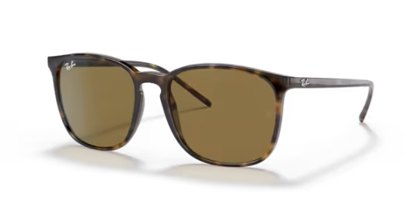 RAYBAN 4387 710/73 56 GÜNEŞ GÖZLÜĞÜ