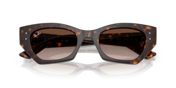 RAYBAN 4430 135913 52 GÜNEŞ GÖZLÜĞÜ